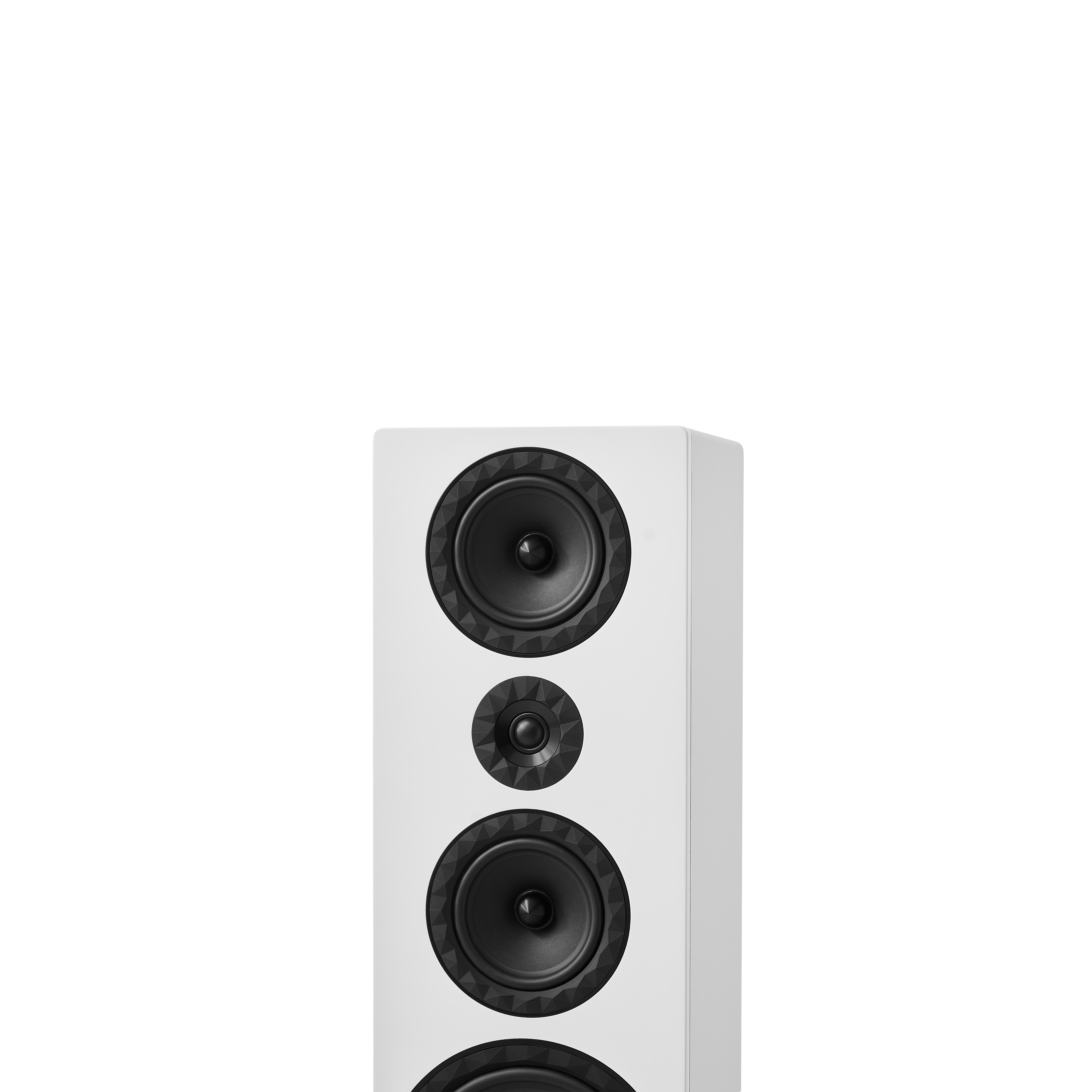 Prestige Facet 34F - Lacquered